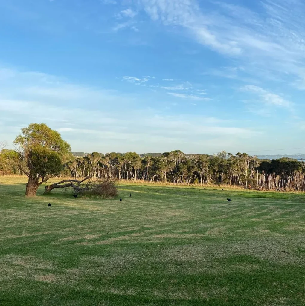 Banksia Park Estate