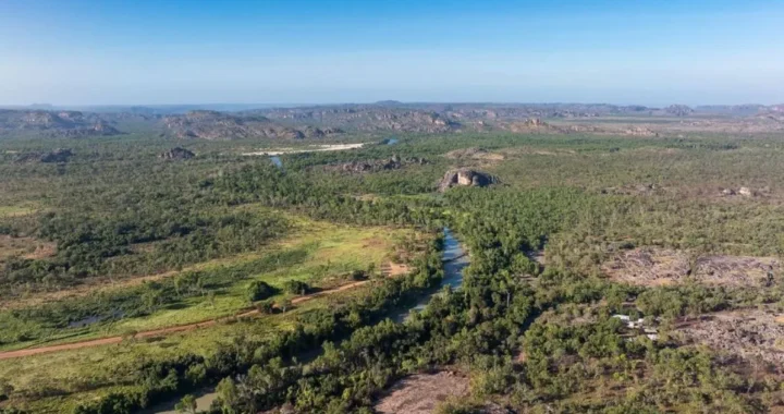 Understanding Kakadu’s Ecosystems: Wetlands, Savannahs, and Unique Biodiversity