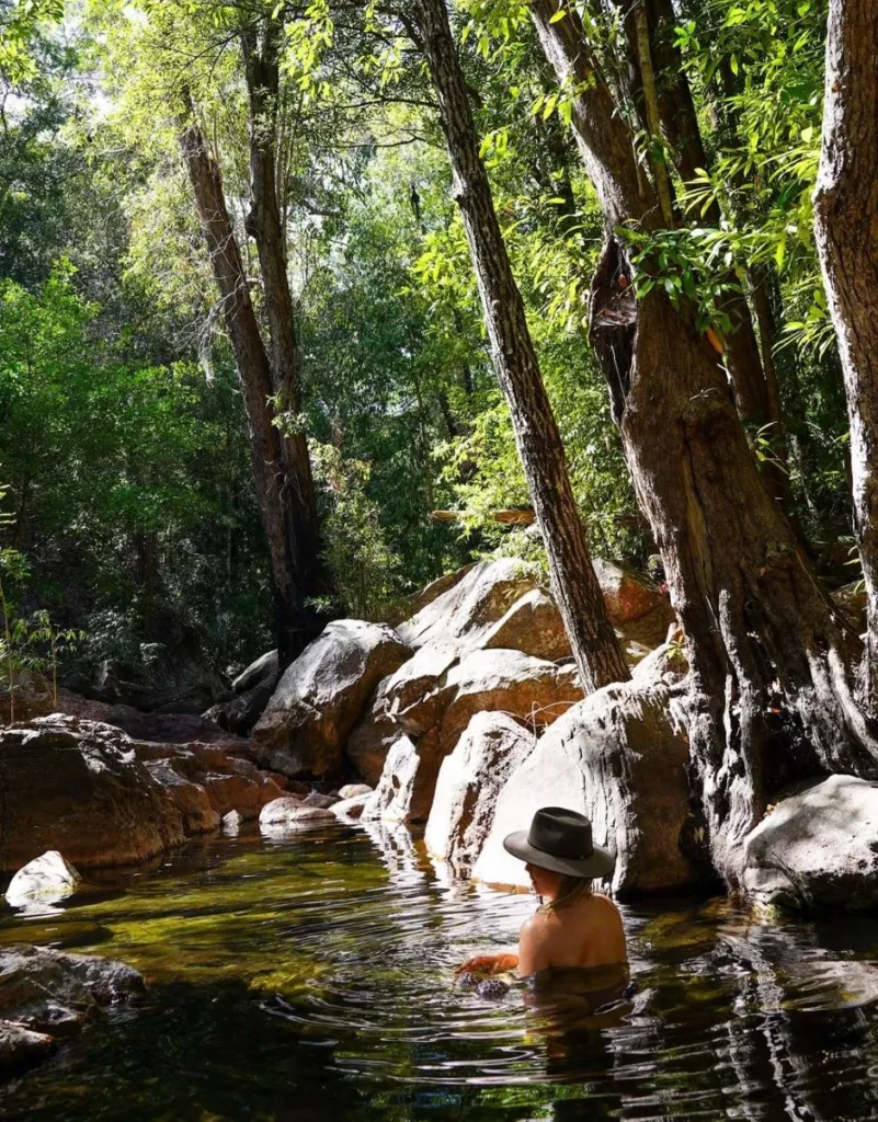 monsoon forests